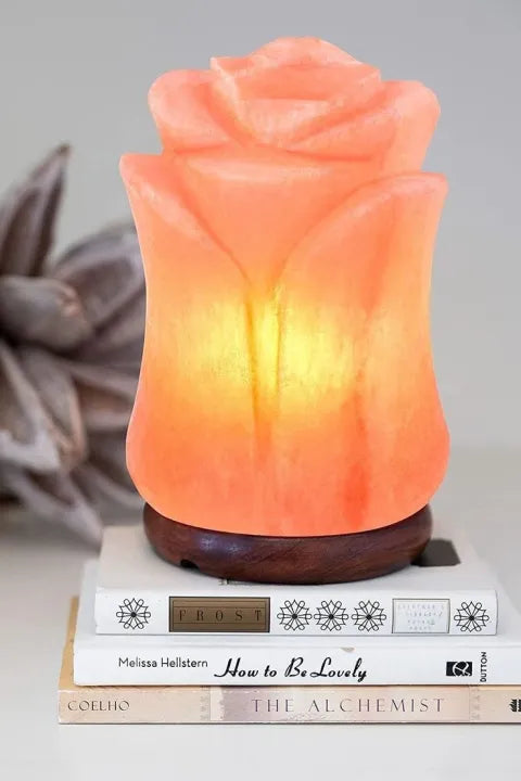 Natural Pink Himalayan Salt Lamp with Custom Base Bazm-e-Decor