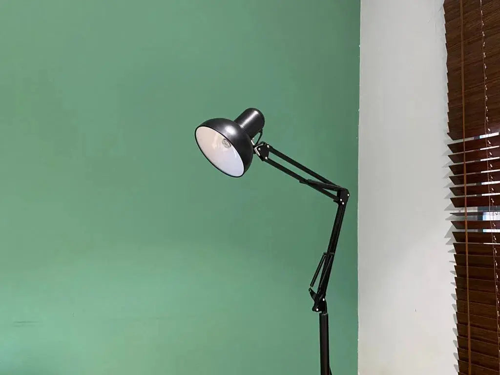 Adjustable Floor Study Lamp - Black with Flexible Arm Bazm-e-Decor