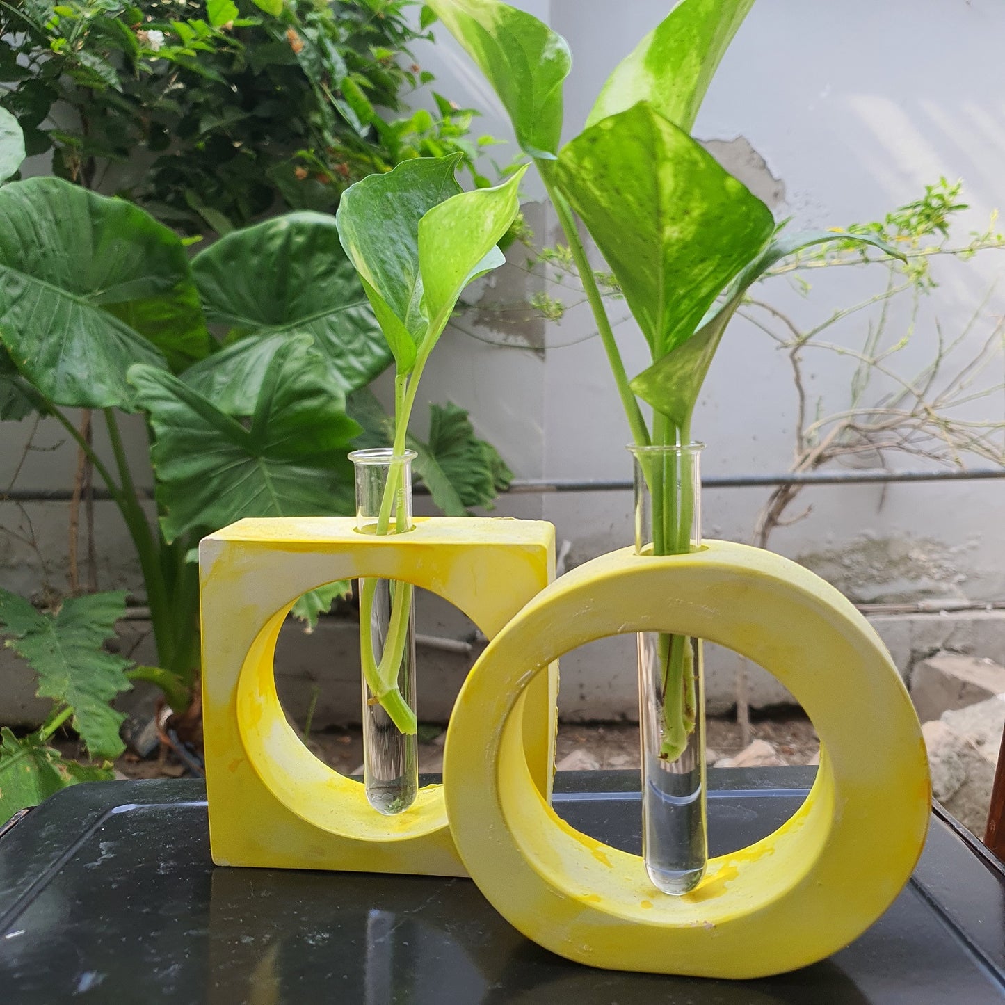 Set of 2 Glass Tube Propagation Vase - Handmade Minimalist Home Decor - Succulent & Flower Pots Bazm-e-Decor