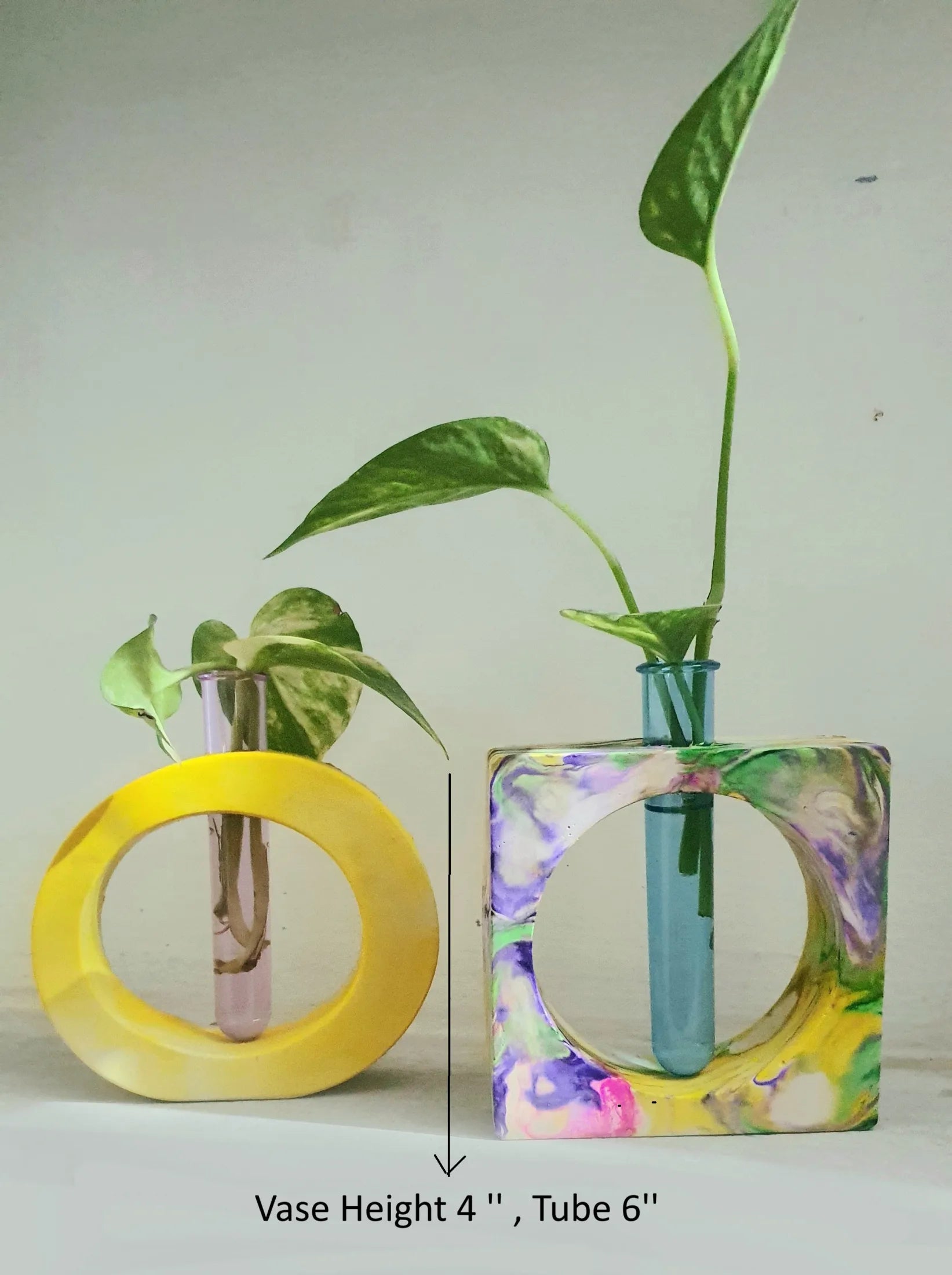 Set of 2 Glass Tube Propagation Vase - Handmade Minimalist Home Decor - Succulent & Flower Pots Bazm-e-Decor