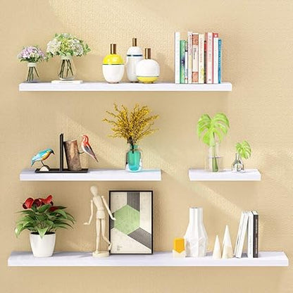 Set of 4 Wooden Wall Mounted Shelves for Books and Storage Bazm-e-Decor